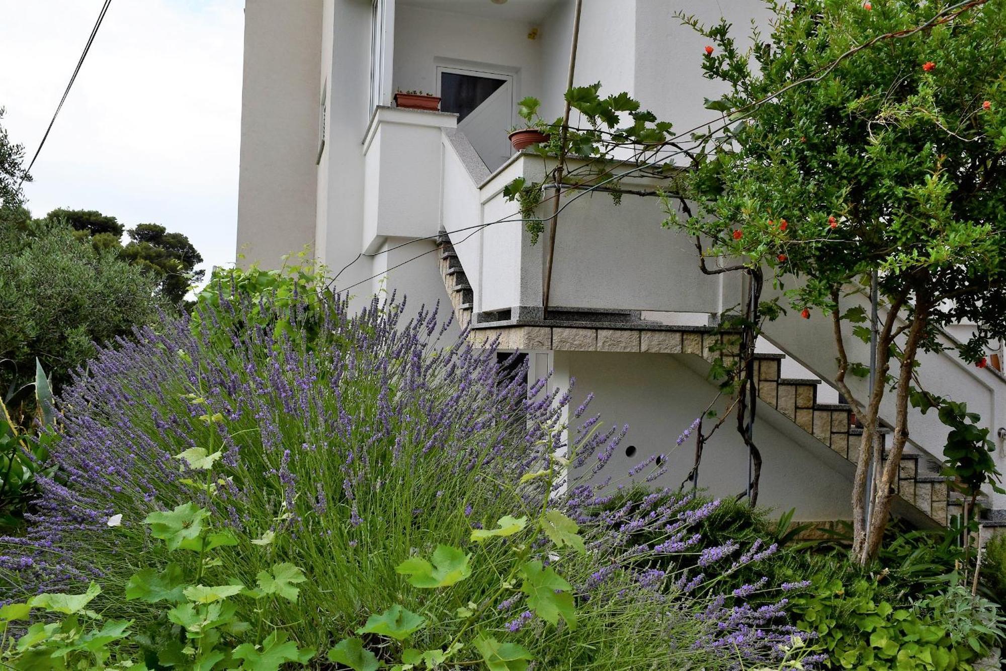 Banjol Sunnyy Beacch Apartments חדר תמונה